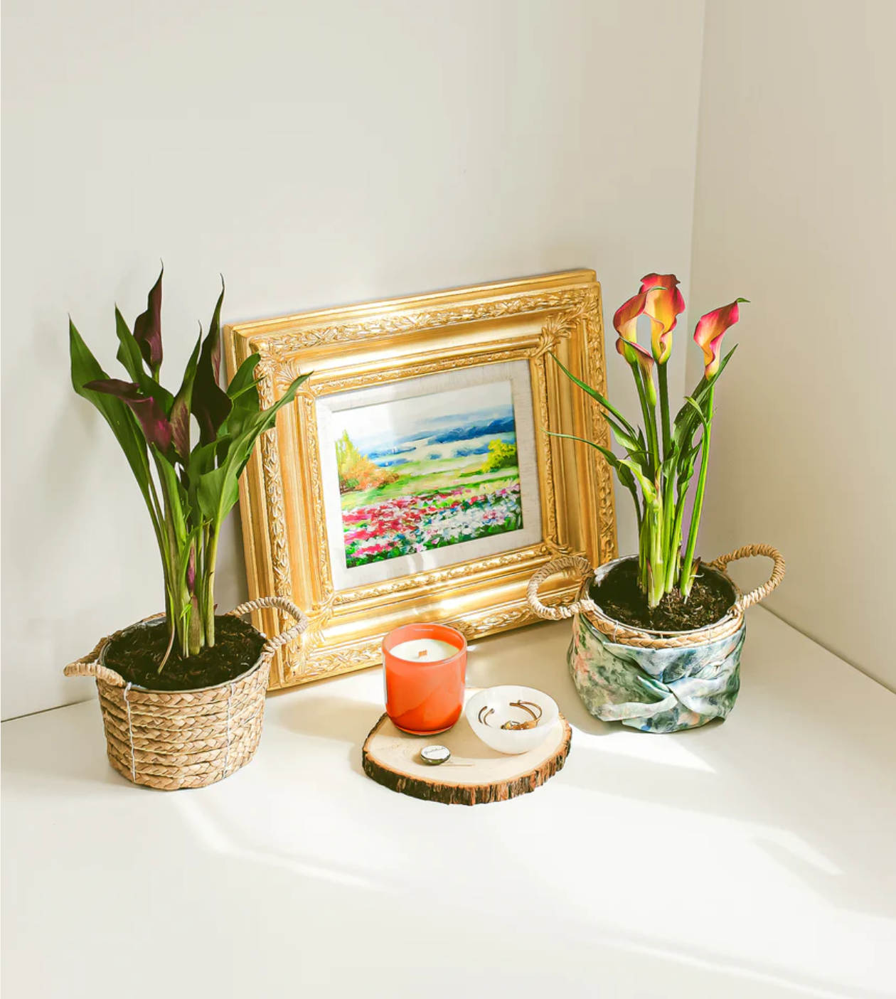 Ein Wald im Gepäck – Fünf Reisebegleiter für Absolventen